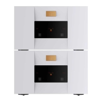 골드문트(GoldMund) 텔로스 1800 (Telos 1800) 하이엔드 모노 파워앰프