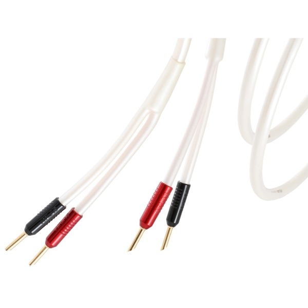 아틀라스(ATLAS) 이퀘이터 아크로매틱(Equator Achromatic) speaker Z 2.0 (3m) 스피커 케이블